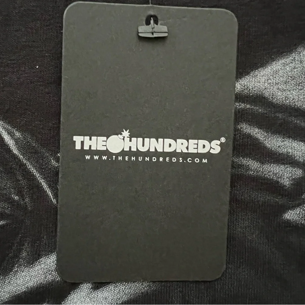The Hundreds Black Tiger Graphic Tee - Picture 4 of 6